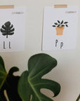 Object Alphabet Cards